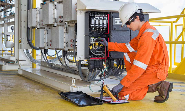 Professional Electrical Services